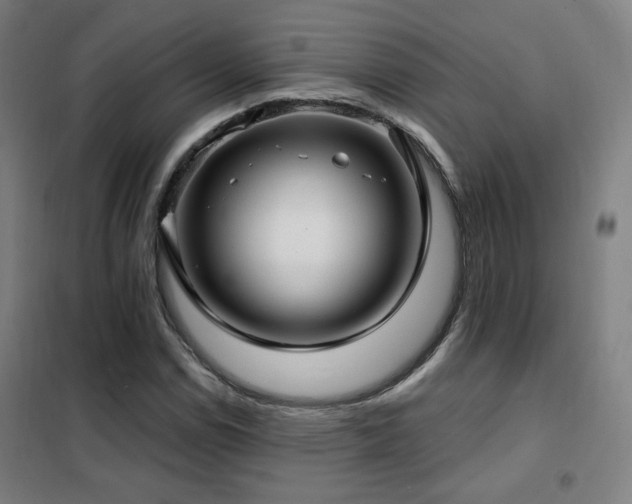 X0000102281114200807251352