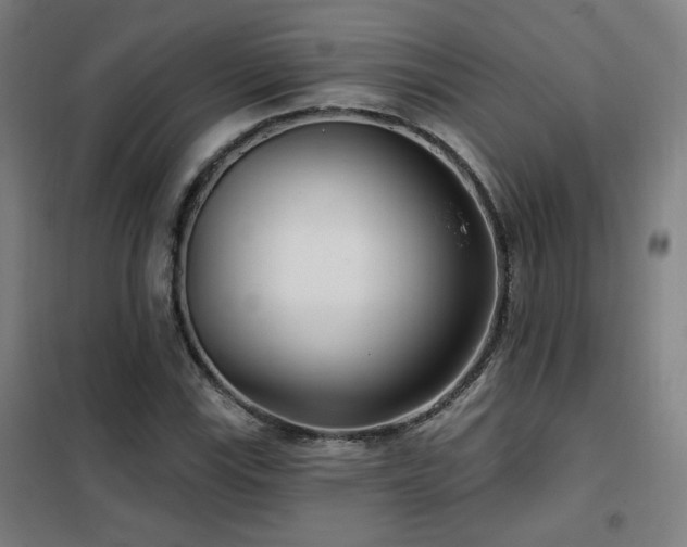 X0000102281115200807251352