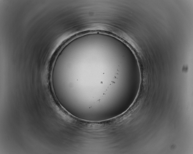 X0000102281116200807251352