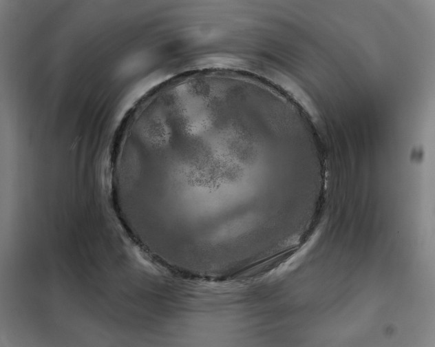 X0000102281117200807251352