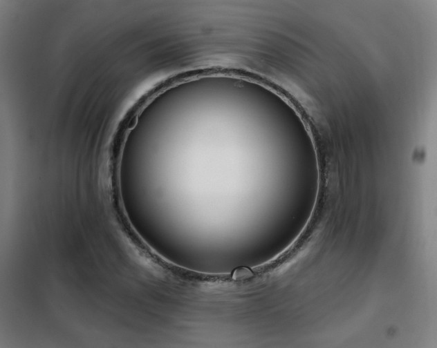 X0000102281118200807251352