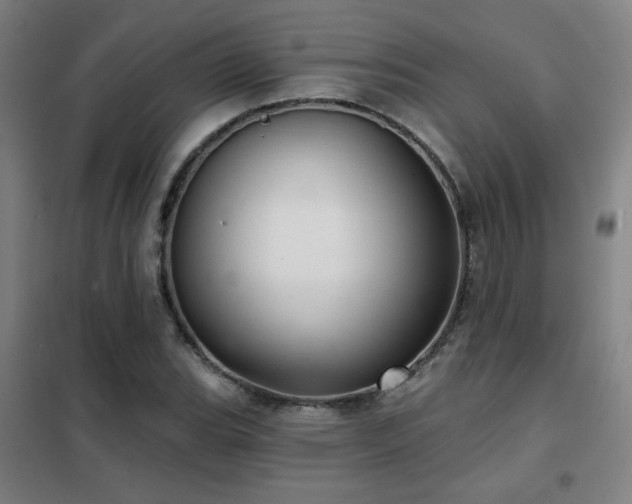 X0000102281119200807251352