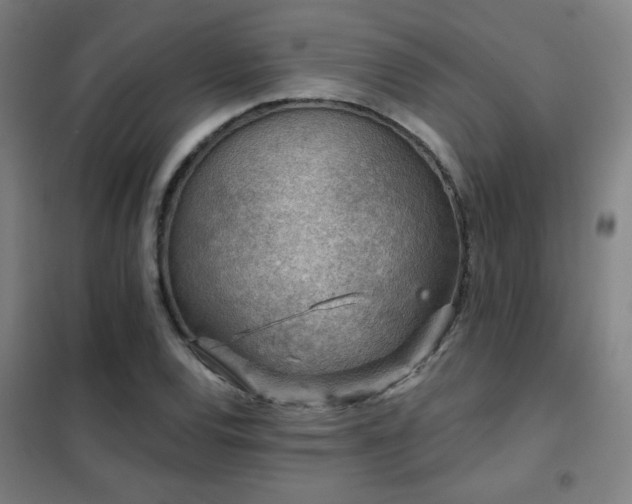 X0000102281120200807251352