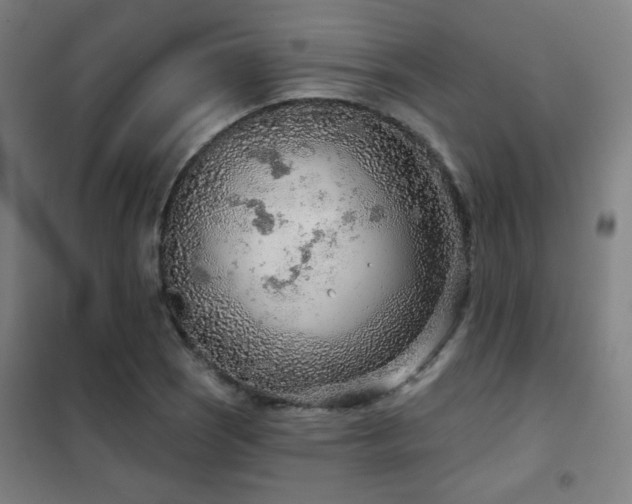 X0000102281121200807251352