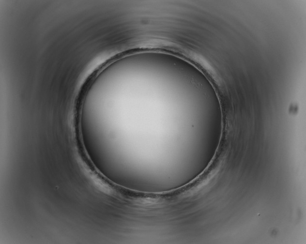 X0000102281122200807251352
