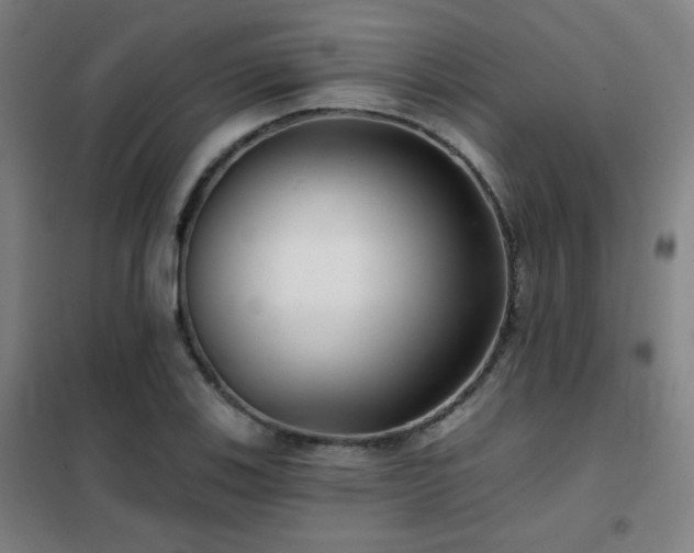 X0000102281123200807251352