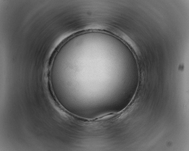 X0000102281124200807251352