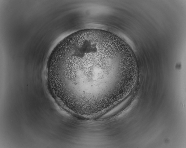 X0000102281125200807251352