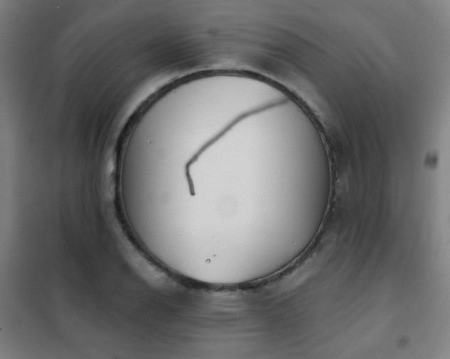 X0000102281126200807251352