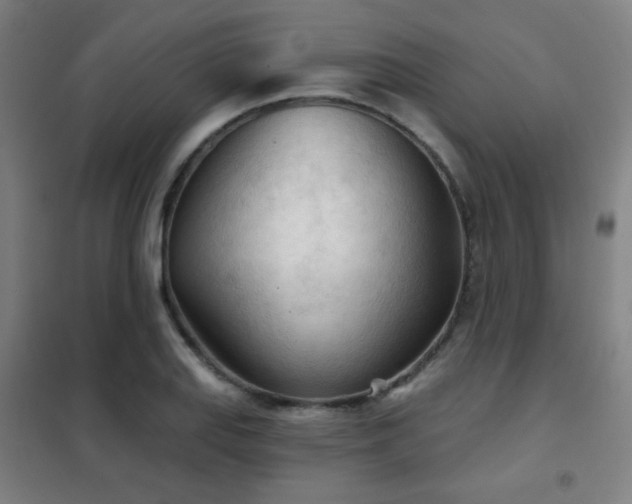 X0000102281127200807251352