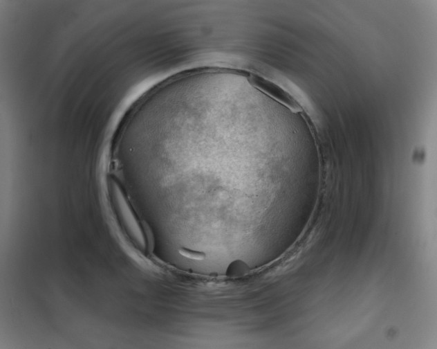 X0000102281128200807251352