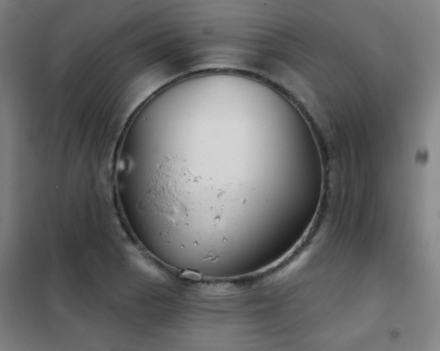 X0000102281129200807251352