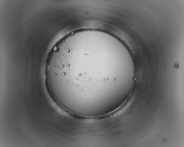 X0000102281130200807251352