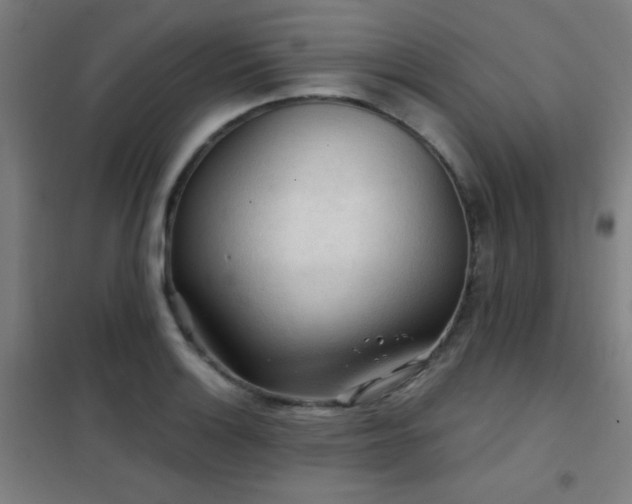 X0000102281132200807251352