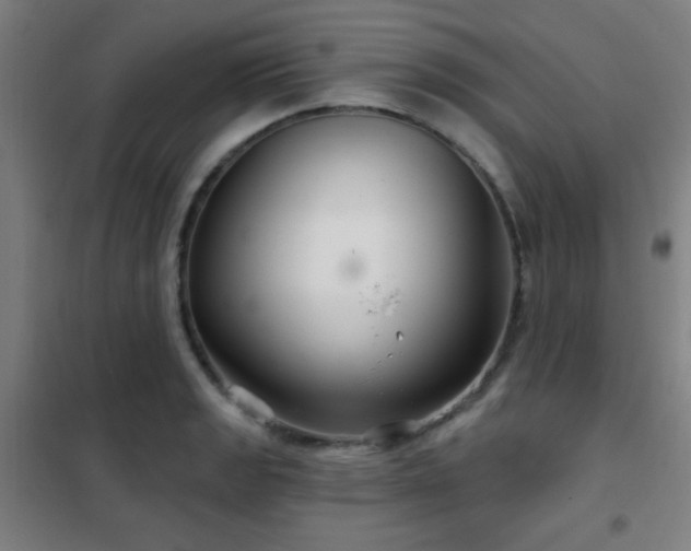 X0000102281133200807251352