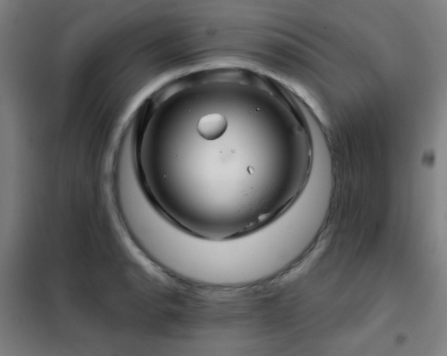 X0000102281134200807251352