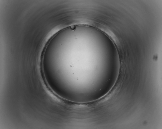 X0000102281135200807251352