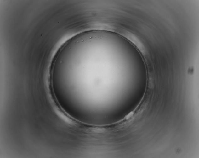 X0000102281136200807251352