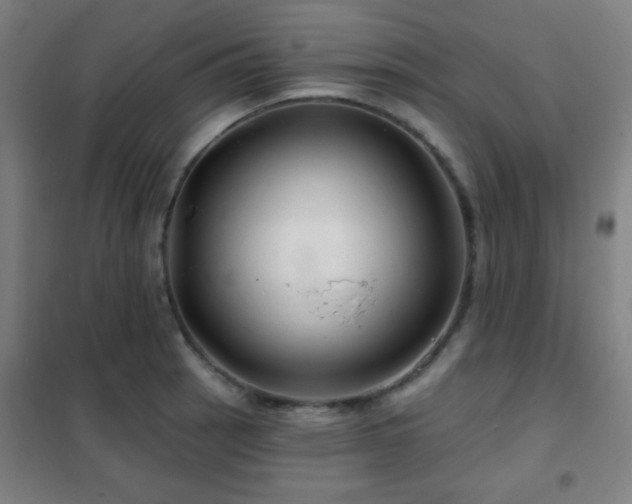 X0000102281137200807251352