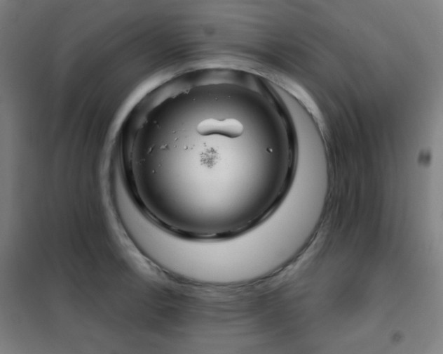 X0000102281138200807251352