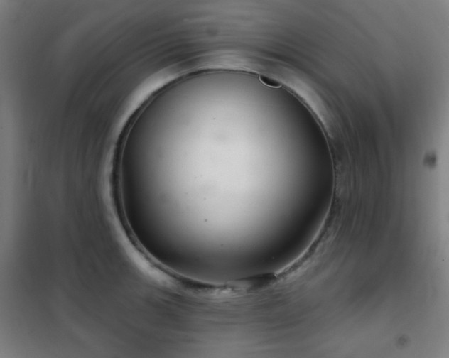 X0000102281139200807251352