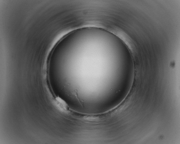X0000102281140200807251352