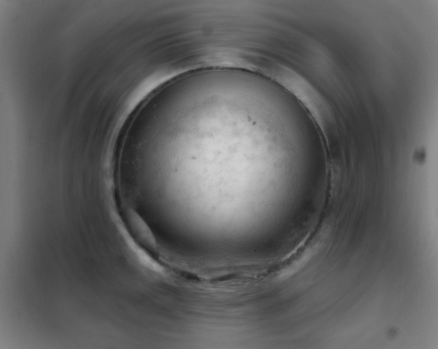 X0000102281141200807251352
