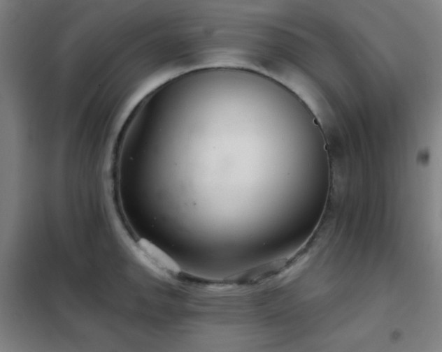 X0000102281142200807251352