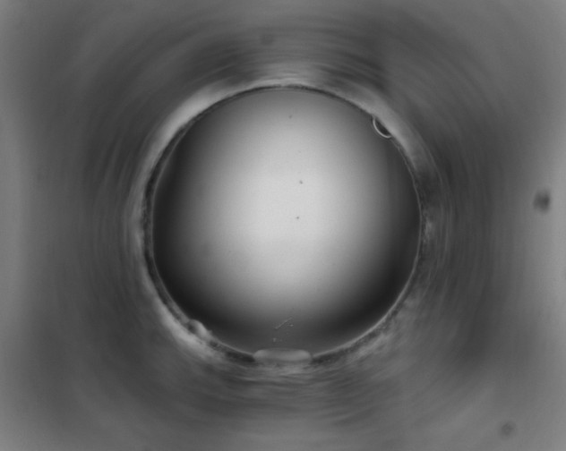 X0000102281143200807251352