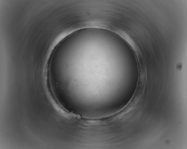 X0000102281144200807251352