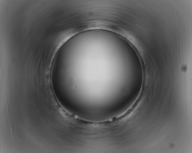 X0000102281145200807251353