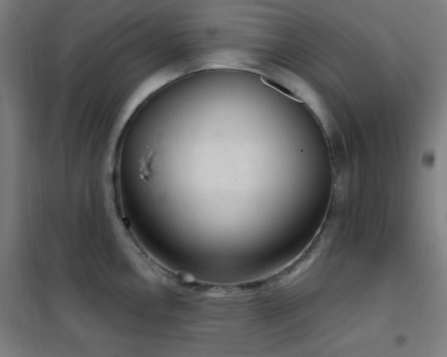X0000102281146200807251353