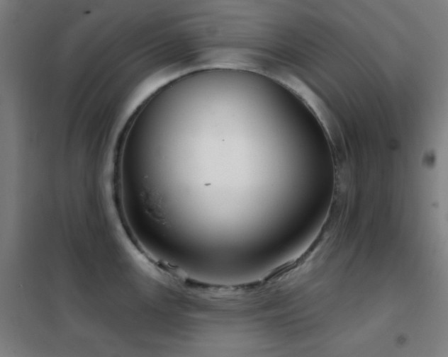 X0000102281147200807251353