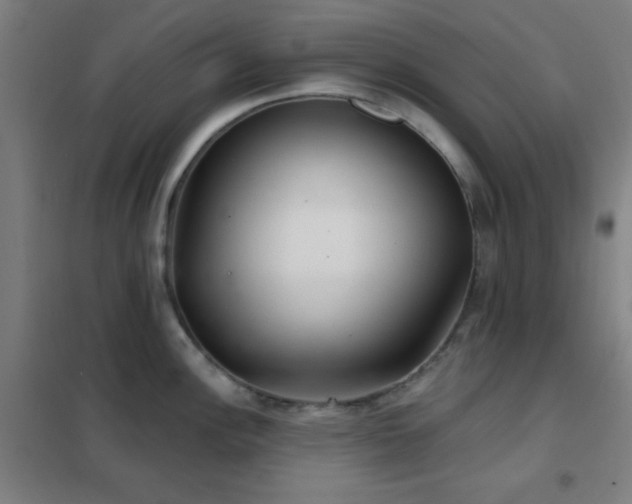 X0000102281148200807251353