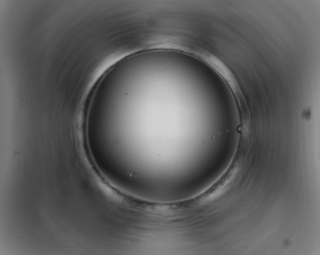 X0000102281149200807251353