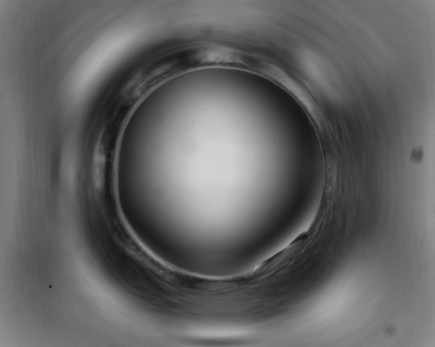 X0000102281151200807251353