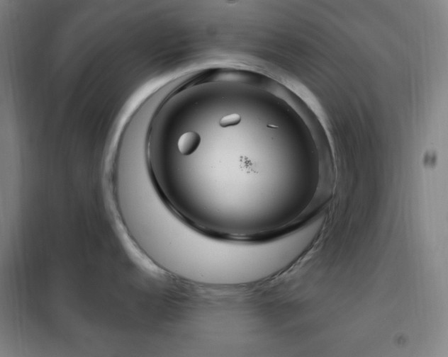 X0000102281152200807251353