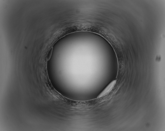 X0000102281153200807251352