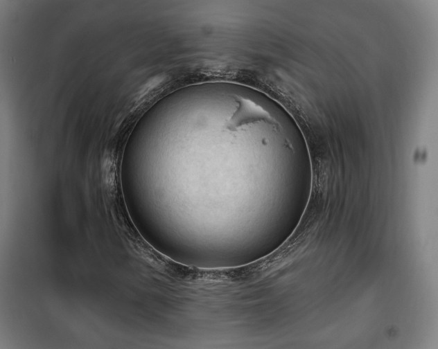 X0000102281154200807251352