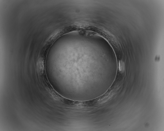 X0000102281155200807251352