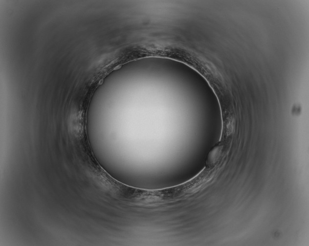 X0000102281156200807251352