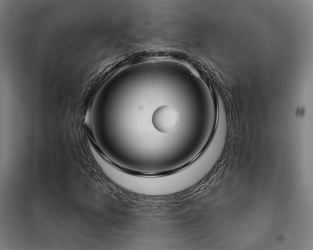 X0000102281157200807251352