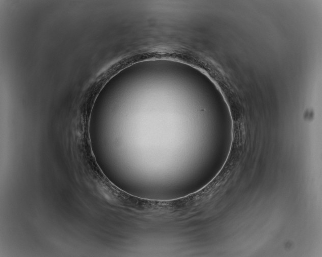 X0000102281158200807251352