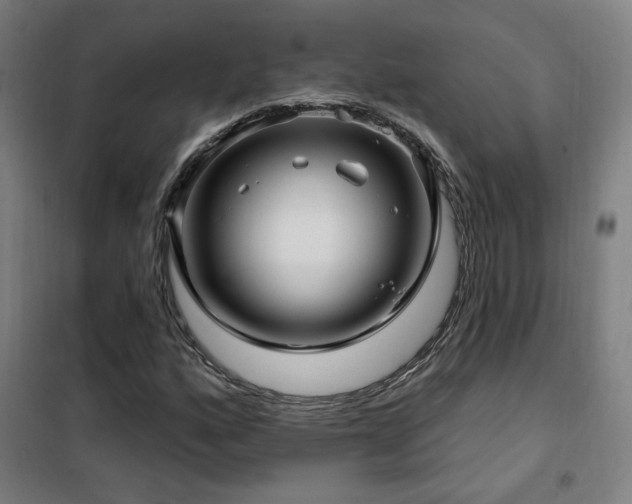 X0000102281160200807251352