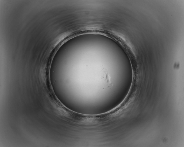 X0000102281162200807251352