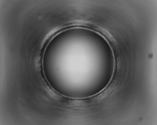 X0000102281164200807251352