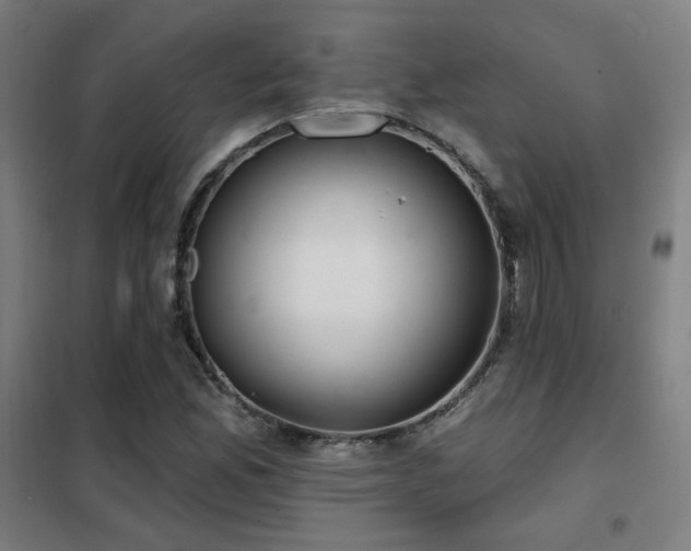 X0000102281165200807251352