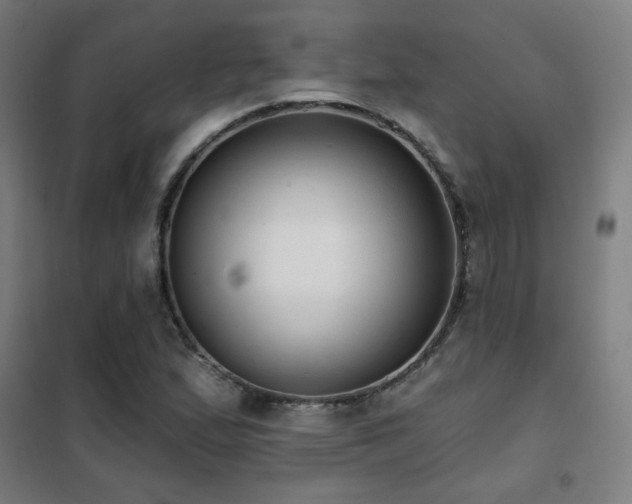 X0000102281167200807251352