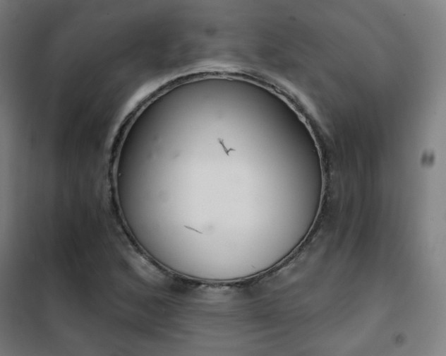 X0000102281168200807251352