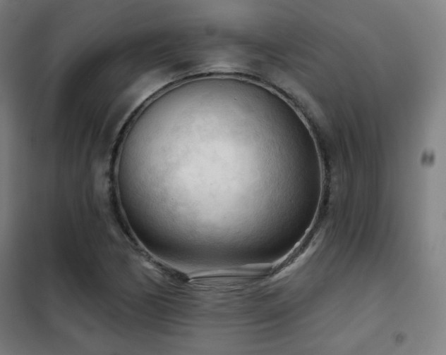 X0000102281170200807251352